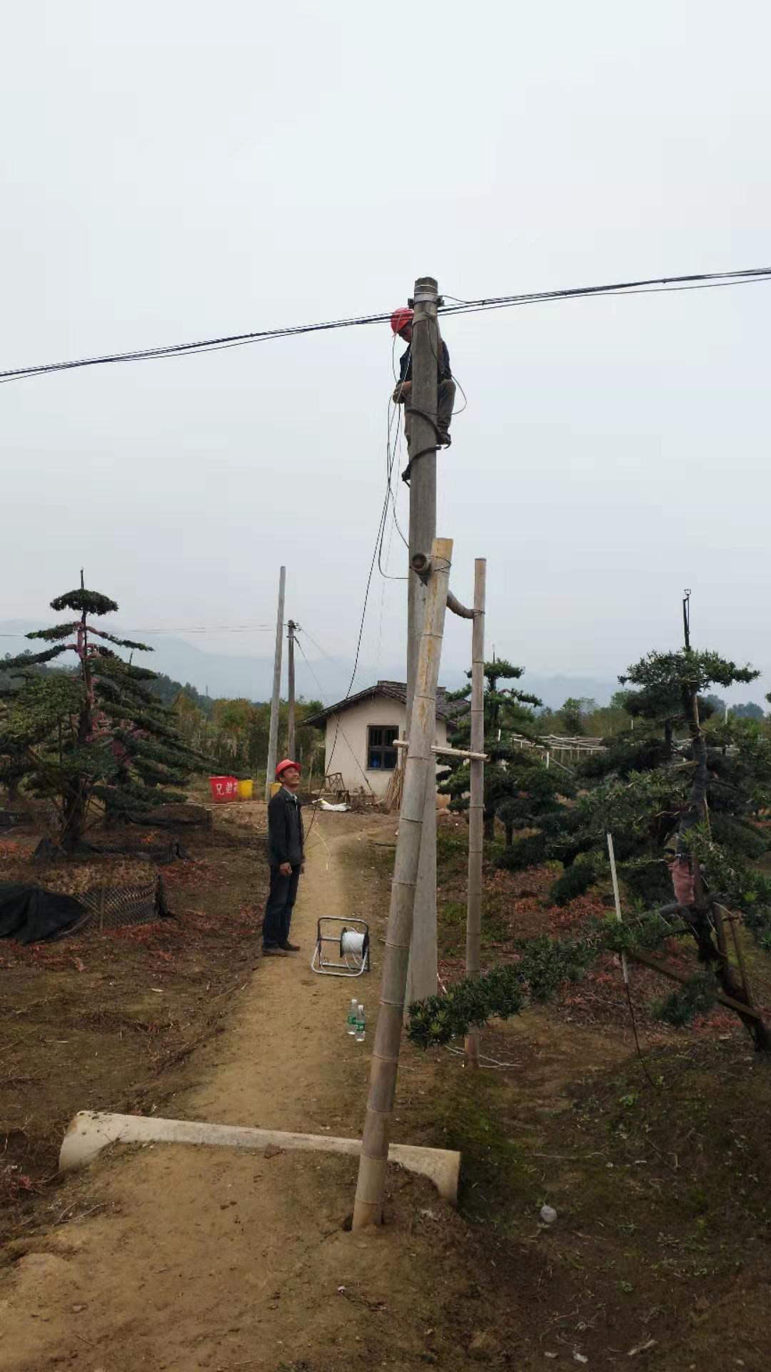 官渡徐家橋園林